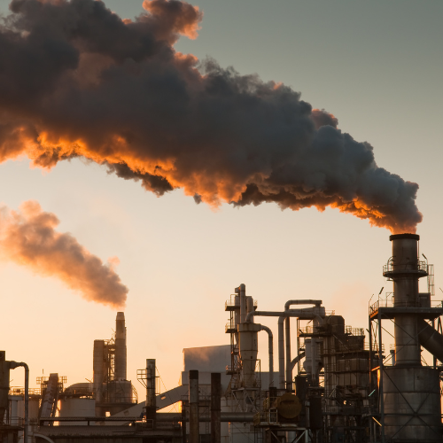 santé environnement se prémunir pollution ogm pesticide naturopathie naturopathe prevention santé nature naturel obernai colmar mulhouse gertwiller goxwiller barr andlau epfig selestat molsheim mutzig naturopathie naturopathe 