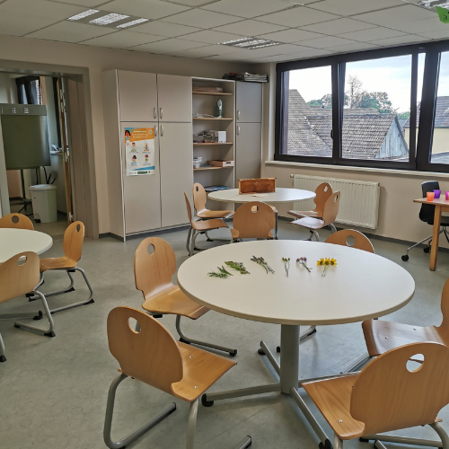 bourgheim cours formation naturopathie naturopathe périscolaire animations enfants maternelles primaires alsace bas rhin haut rhin