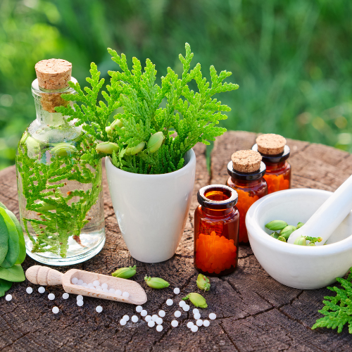 naturopathie, naturopathe, naturopathie obernai naturopathe barr naturopathe gertwiller naturopathe alsace naturopathe sélestat naturopathe spécialisée peau naturopathe spécialisée obernai ottrott niedernai sélestat barr dambach bas rhin haut rhin strasbourg wasselonne mutzig molsheim dinsheim motivation stress sommeil 