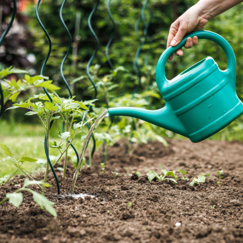 détox naturopathie naturopathe naturopathe obernai naturopathe barr naturopathe colmar naturopathe andlau naturopathe ottrott naturopathe dambach naturopathe mutzig naturopathe molsheim naturopathe wasselonne naturopathie obernai naturopathie gertwiller naturopathie barr naturopathie détox perte de poids naturopathie de la peau pour accompagner le terrain de personnes souffrant d'urticaire, de psoriasis, de vitilgo, de rosacée, acné