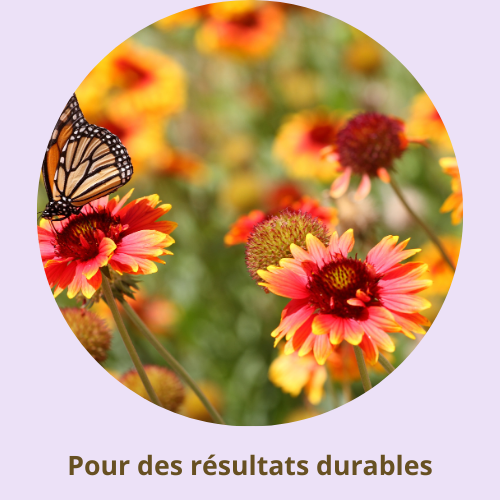 Le cabinet de naturopathie Barbara Herrbach est spécialisé dans l'accompagnement naturel des troubles généraux comme la ménopause, le transit, les ballonnements, diarrhées chroniques