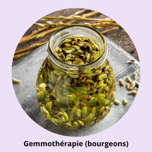 image de la naturopathie, naturopathe autour de la peau et de l'inconfort cutanBarbara Herrbach est naturopathe à Obernai, près de Colmar, vers Sélestat, entre Molsheim et Barr. Son cabinet est reconnu pour ses travaux en naturopathie traditionnelleé, propose de travailler sur l'hygiène de vie, l'émotionnel et le stress, lorsqu'on souffre de problèmes de peau comme eczéma, urticaire, psoriasis, acné, vitiligo, mais aussi des troubles féminins comme la ménopause, des règles douloureuses ou encore des problèmes de transit. En complément d'un suivi médical, d'un suivi dermatologique ou encore d'un suivi gynécologique. Naturopathe autour de barr, gertwiller andlau colmar selestat obernai niedernai ottrott strasbourg epfig saint pierre zellwiller 