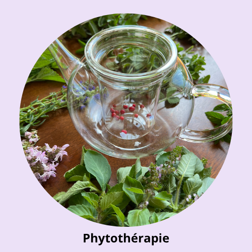 image de la naturopathie, naturopathe autour dLe cabinet de naturopathie est reconnu pour ses travaux sur Hildegarde de Bingen et a reçu le prix de la recherche en naturopathie traditionnelle pour ses travaux sur Hildegarde de Bingene la peau et de l'inconfort cutané, propose de travailler sur l'hygiène de vie, l'émotionnel et le stress, lorsqu'on souffre de problèmes de peau comme eczéma, urticaire, psoriasis, acné, vitiligo, mais aussi des troubles féminins comme la ménopause, des règles douloureuses ou encore des problèmes de transit. En complément d'un suivi médical, d'un suivi dermatologique ou encore d'un suivi gynécologique. Naturopathe autour de barr, gertwiller andlau colmar selestat obernai niedernai ottrott strasbourg epfig saint pierre zellwiller 