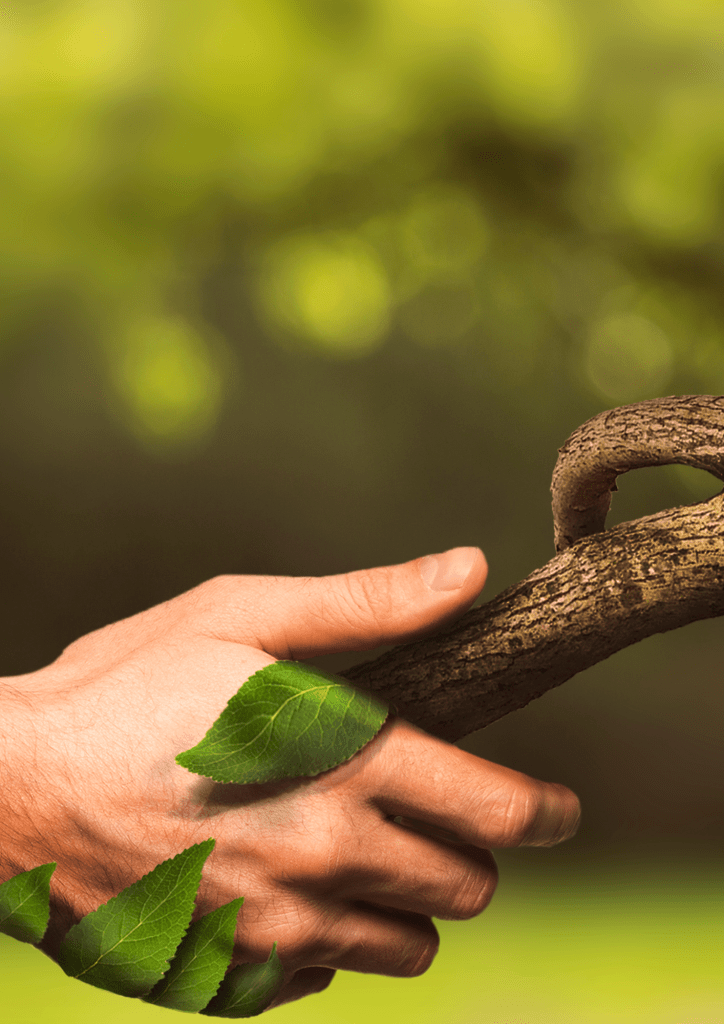 Le cabinet de naturopathie Barbara Herrbach se situe près de Colmar, vers Sélestat, à quelques minutes de Wasselonne, Mutzig, Molsheim et tout près d'Obernai