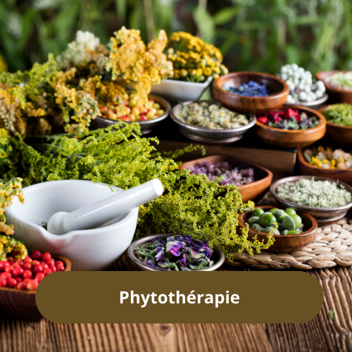 Barbara Herrbach, naturopathe près d'Obernai et Barr, spécialisée dans l'accompagnement de l'urticaire chronique, du psoriasis, de l'acné, de la digestion, des troubles féminins, spécialisée dans la méthode Hildegarde de Bingen