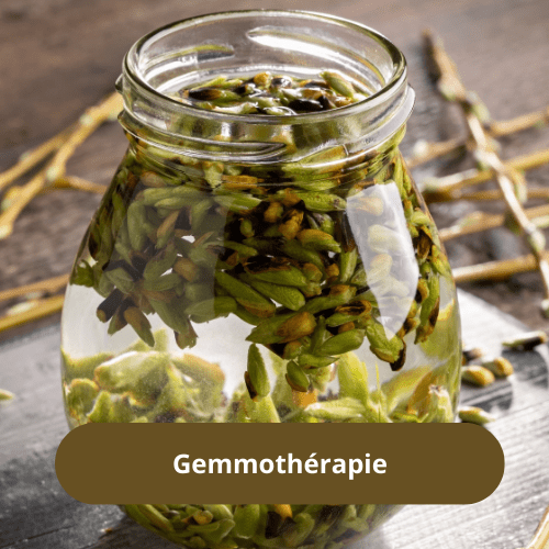 Barbara Herrbach, naturopathe près d'Obernai et Barr, spécialisée dans l'accompagnement de l'urticaire chronique, du psoriasis, de l'acné, de la digestion, des troubles féminins, spécialisée dans la méthode Hildegarde de Bingen