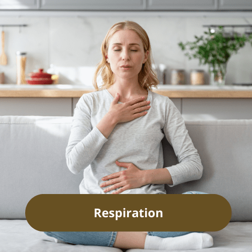 Barbara Herrbach, naturopathe près d'Obernai et Barr, spécialisée dans l'accompagnement de l'urticaire chronique, du psoriasis, de l'acné, de la digestion, des troubles féminins, spécialisée dans la méthode Hildegarde de Bingen